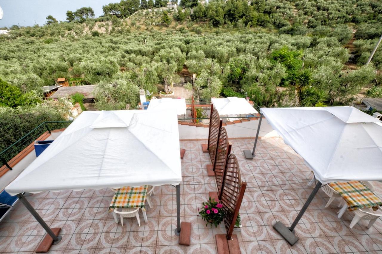 Terra Di Ulivo Villa Vieste Exteriör bild