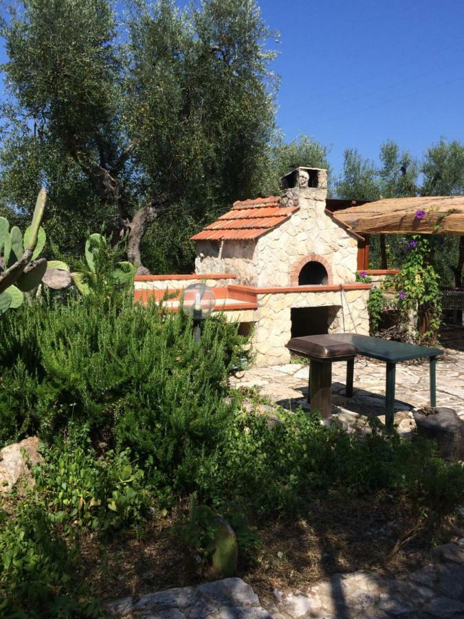 Terra Di Ulivo Villa Vieste Exteriör bild