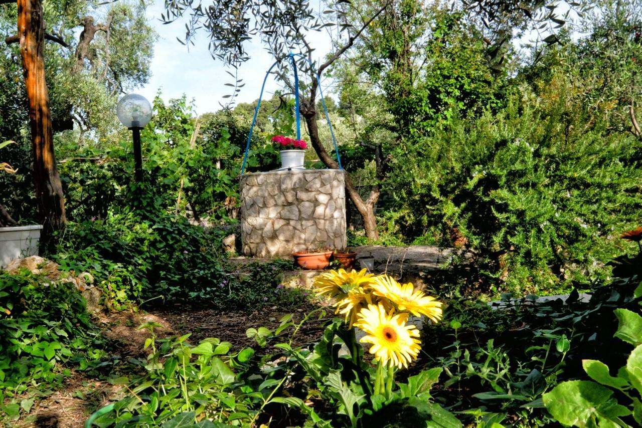 Terra Di Ulivo Villa Vieste Exteriör bild