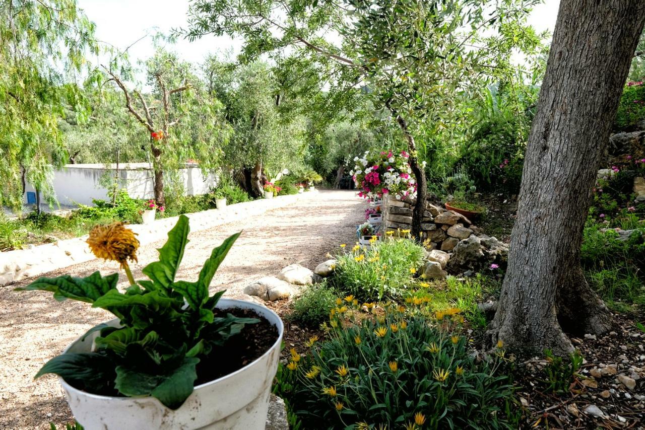 Terra Di Ulivo Villa Vieste Exteriör bild